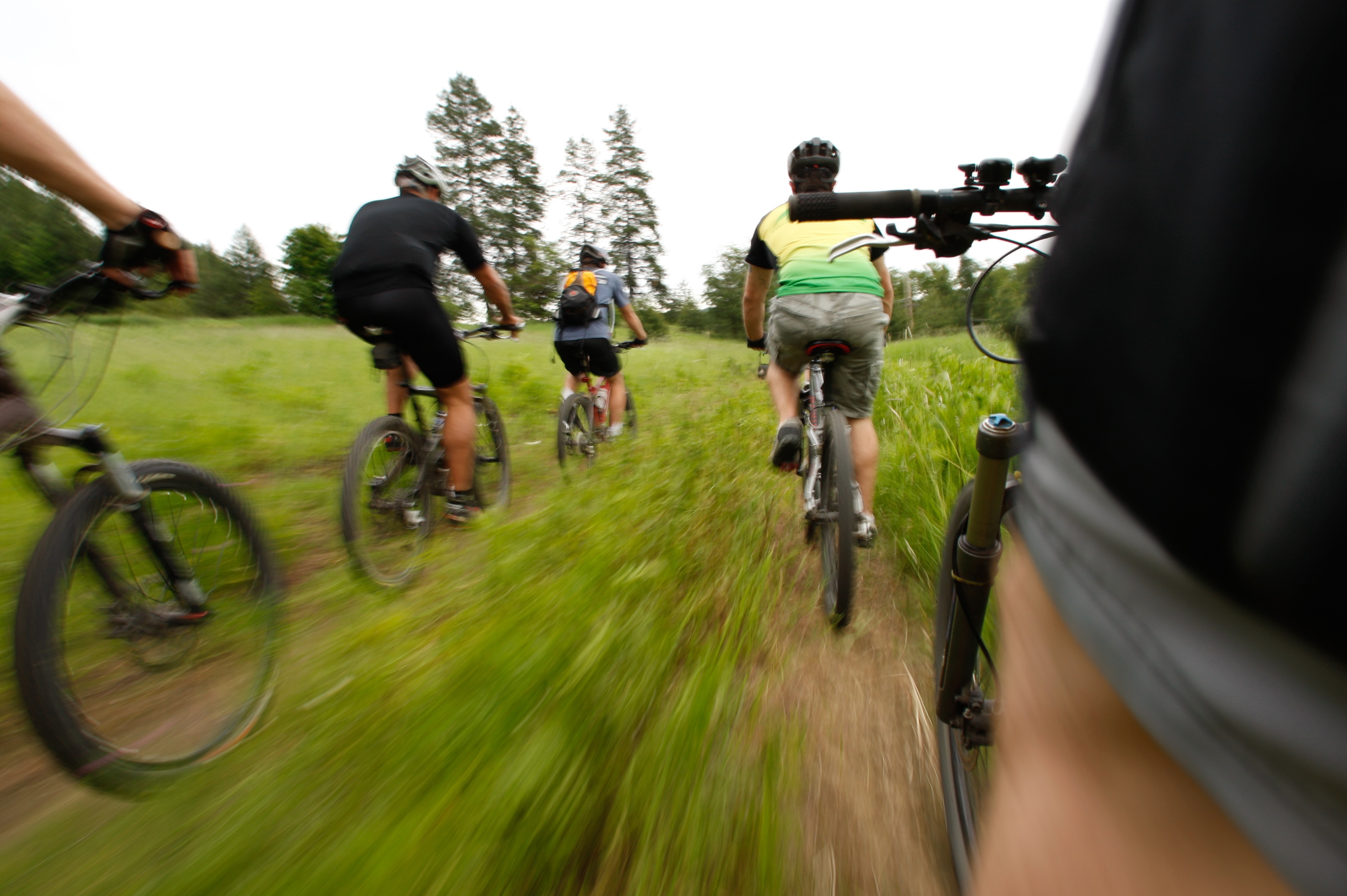 Group mountain biking adventure